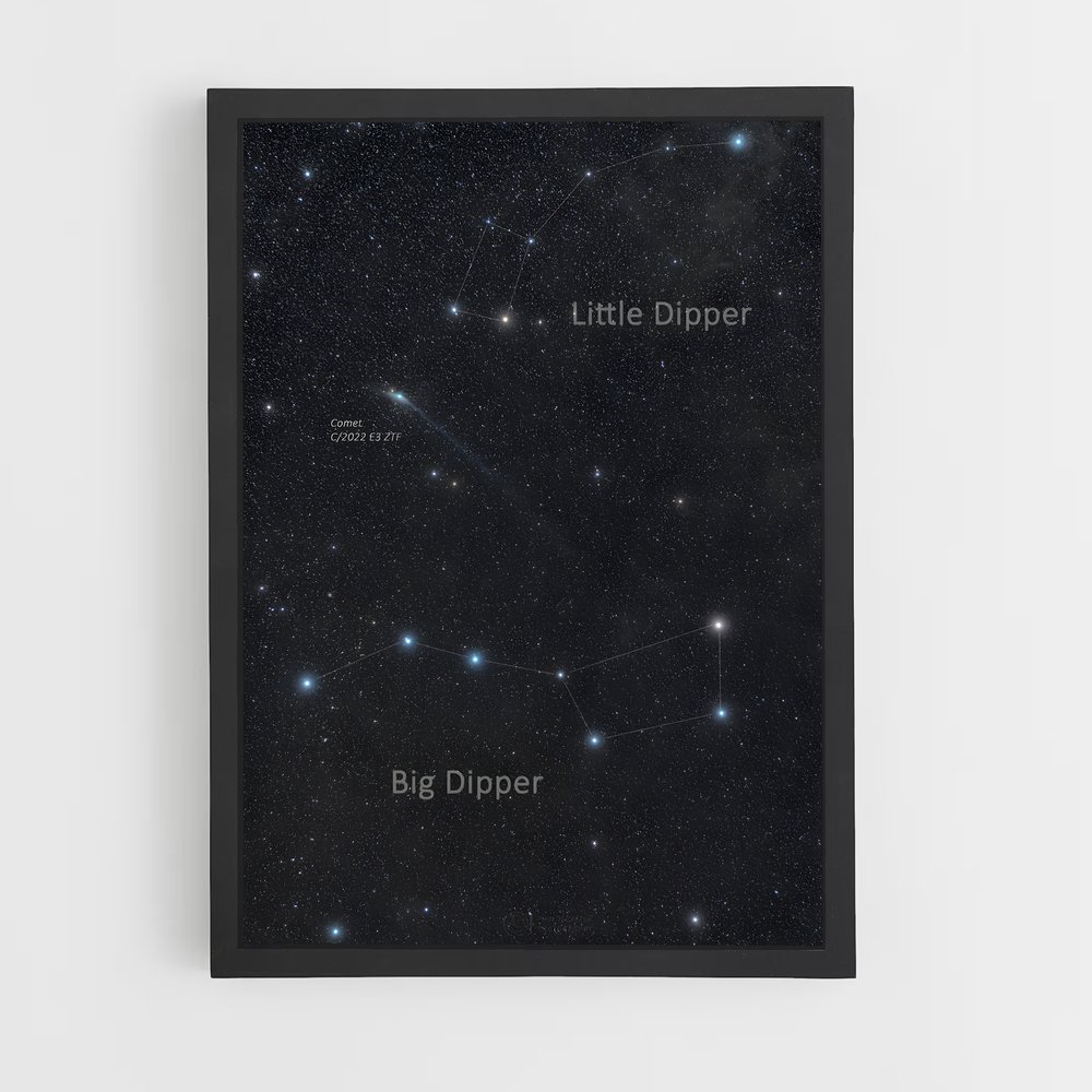Poster Constellation du Plopus – affiche Constellations (vue 2)